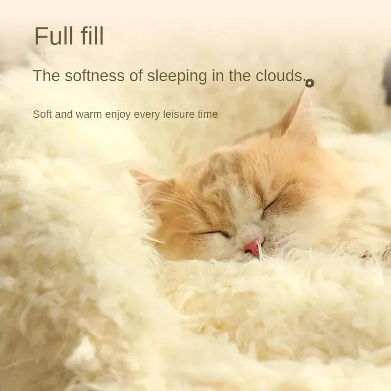 Bed Cats for Winter Warm Houses and Habitats