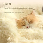 Bed Cats for Winter Warm Houses and Habitats