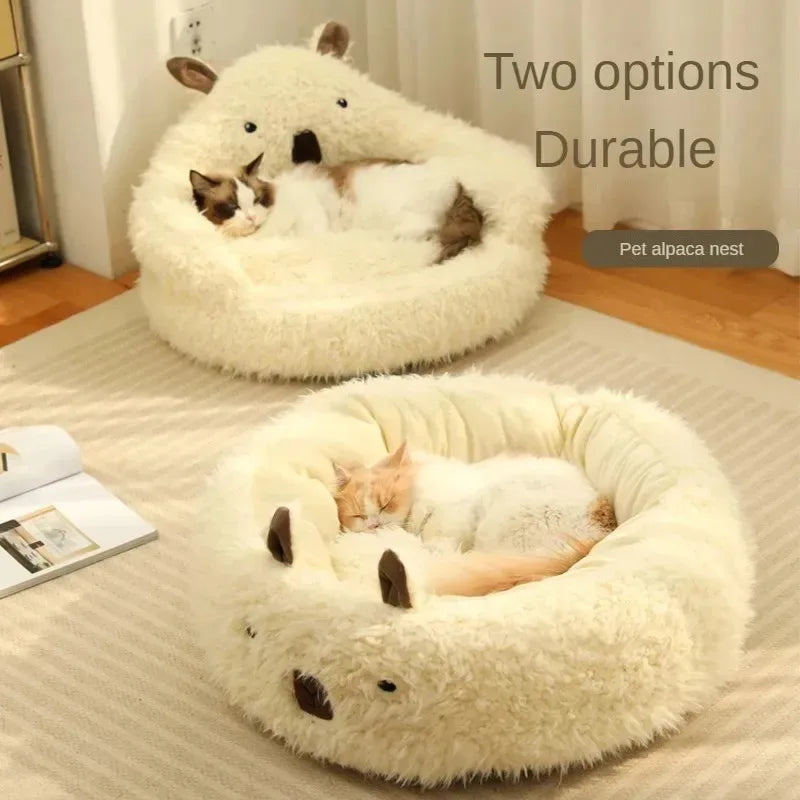 Bed Cats for Winter Warm Houses and Habitats