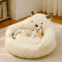 Bed Cats for Winter Warm Houses and Habitats