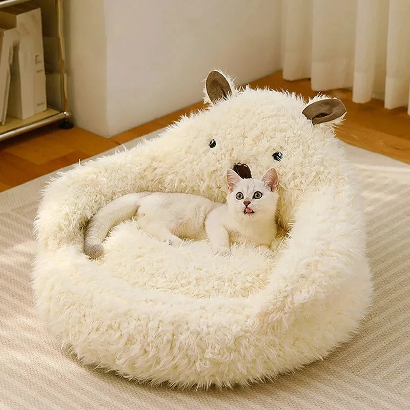 Bed Cats for Winter Warm Houses and Habitats