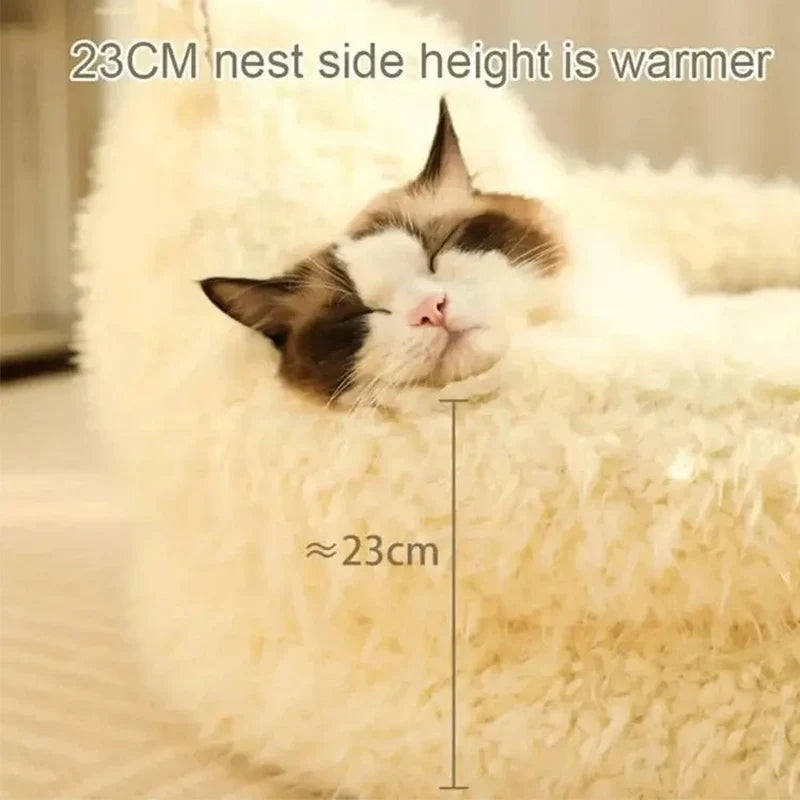 Bed Cats for Winter Warm Houses and Habitats