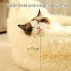 Bed Cats for Winter Warm Houses and Habitats